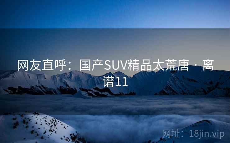 网友直呼：国产SUV精品太荒唐 · 离谱11