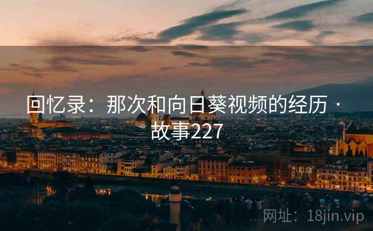 回忆录：那次和向日葵视频的经历 · 故事227